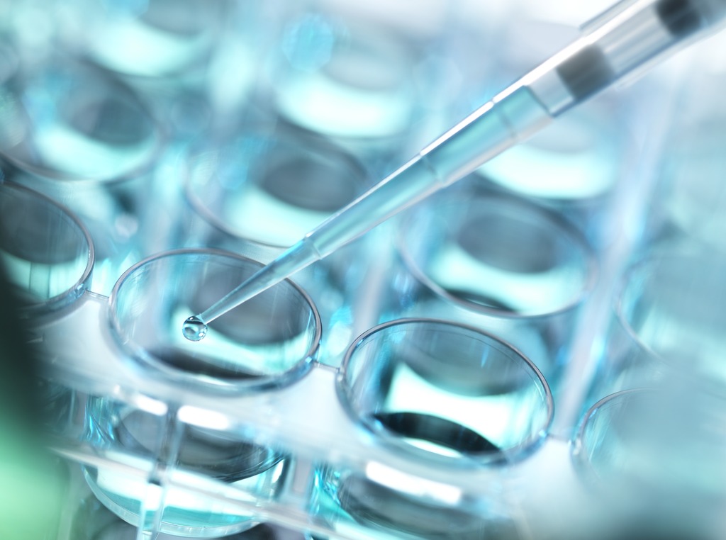 Pipette and multiwell tray